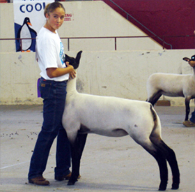 Fairwether Winner